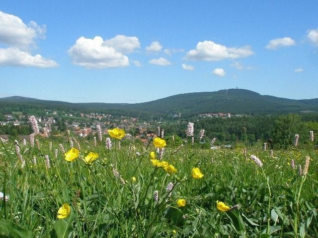 Harzpension Haus Koenigskopf Braunlage Extérieur photo
